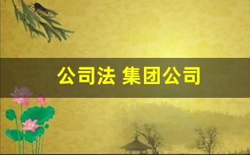 公司法 集团公司